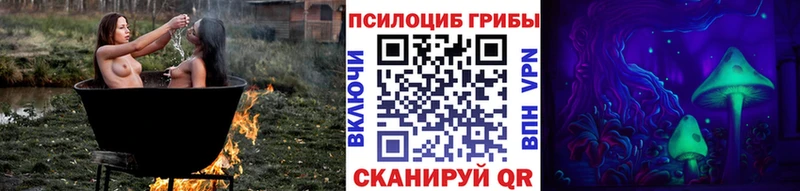 Псилоцибиновые грибы мухоморы  Купить где  Медногорск 